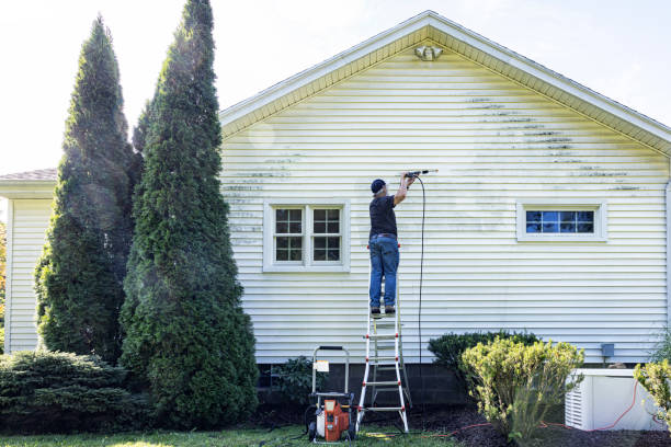 Best Driveway Pressure Washing  in Catasauqua, PA